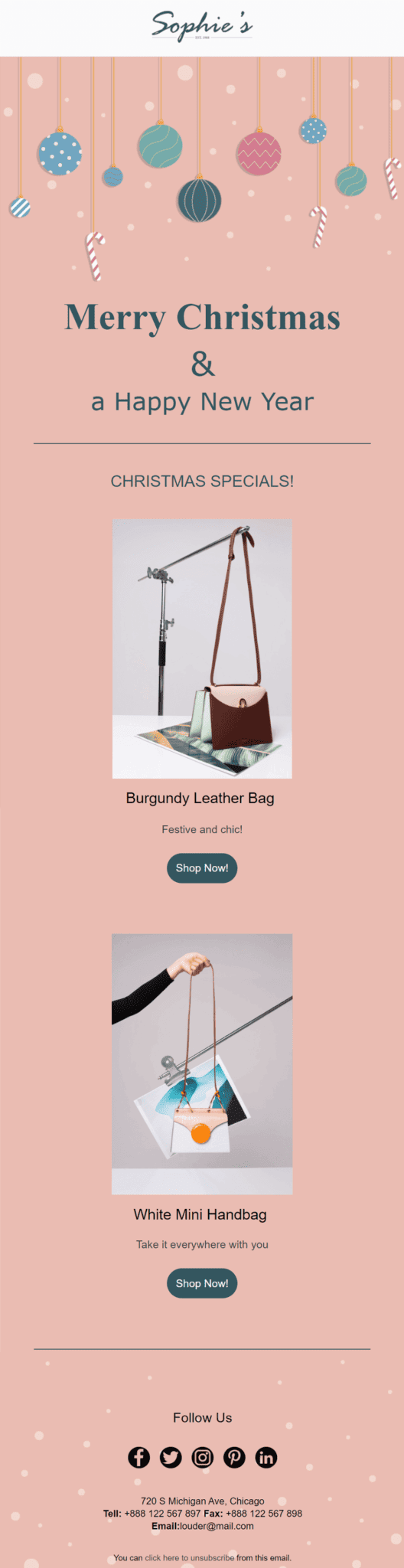 seasonal campaign email example