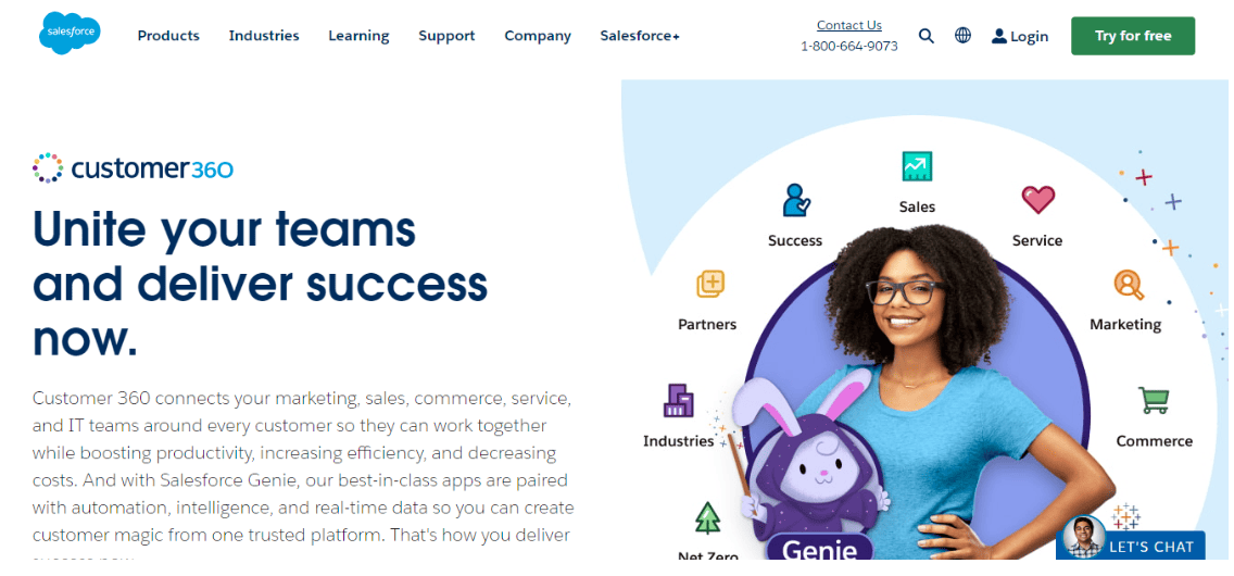 Salesforce architecture CRM software